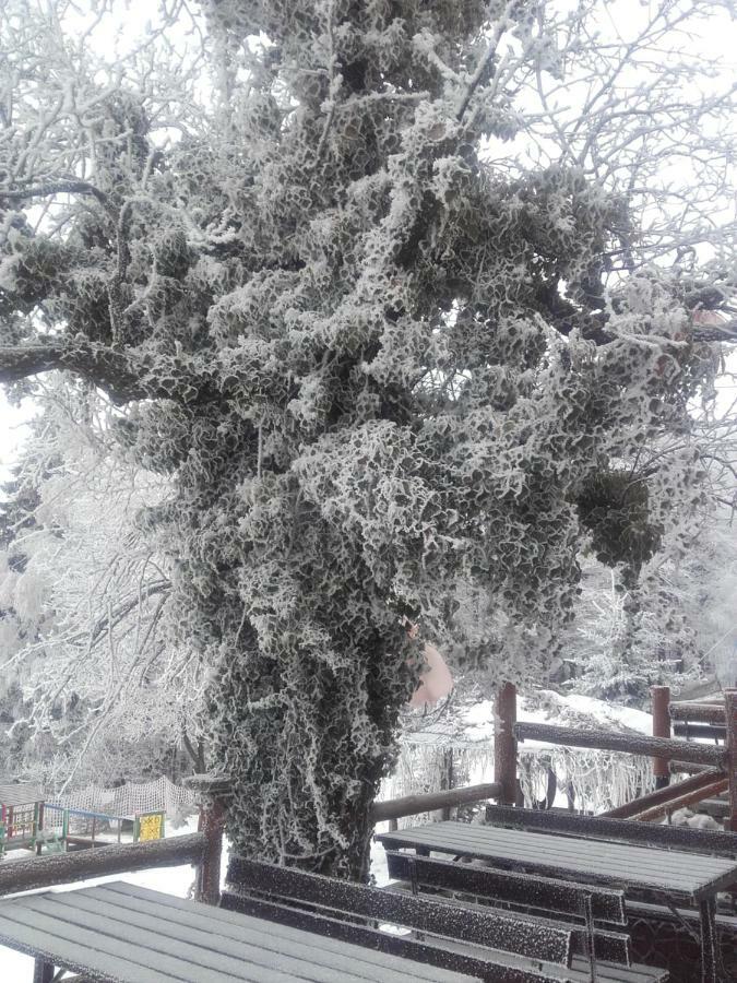 Chata Na Groniu Meszna Exteriér fotografie